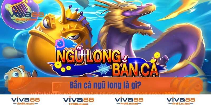 Bắn cá ngũ long là gì?