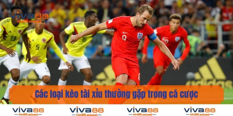 Các loại kèo tài xỉu thường gặp trong cá cược