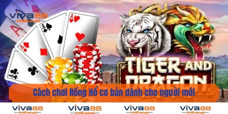 Cách chơi Rồng Hổ cơ bản dành cho người mới
