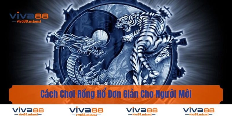 Cách Chơi Rồng Hổ Đơn Giản Cho Người Mới Giúp Thắng Lớn