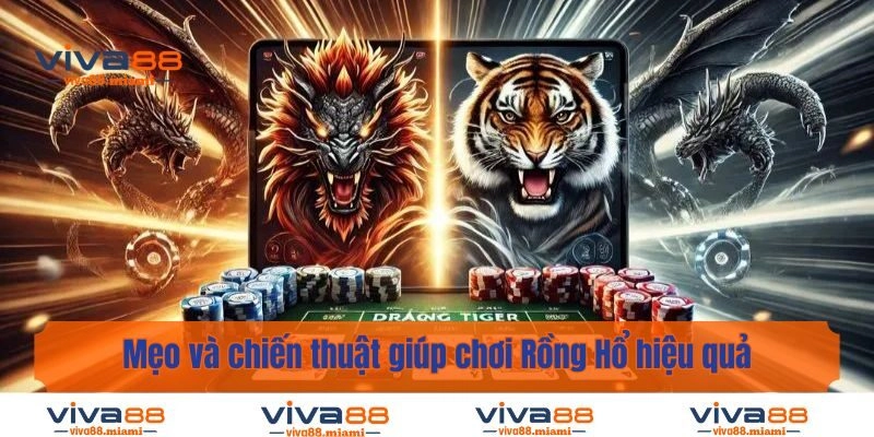 Mẹo và chiến thuật giúp chơi Rồng Hổ hiệu quả