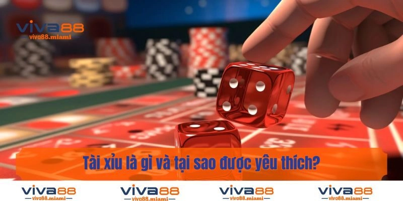 Tài xỉu là gì và tại sao được yêu thích?