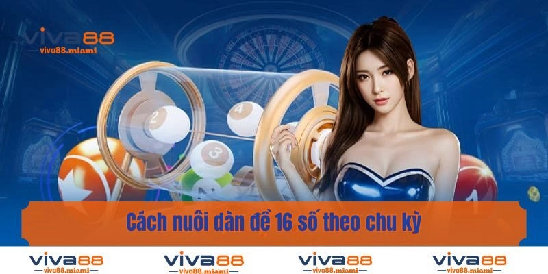 Cách nuôi dàn đề 16 số theo chu kỳ
