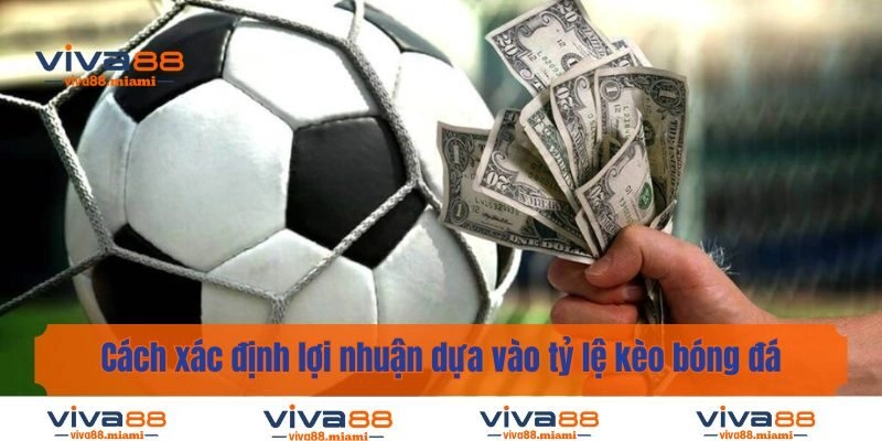 Cách xác định lợi nhuận dựa vào tỷ lệ kèo bóng đá