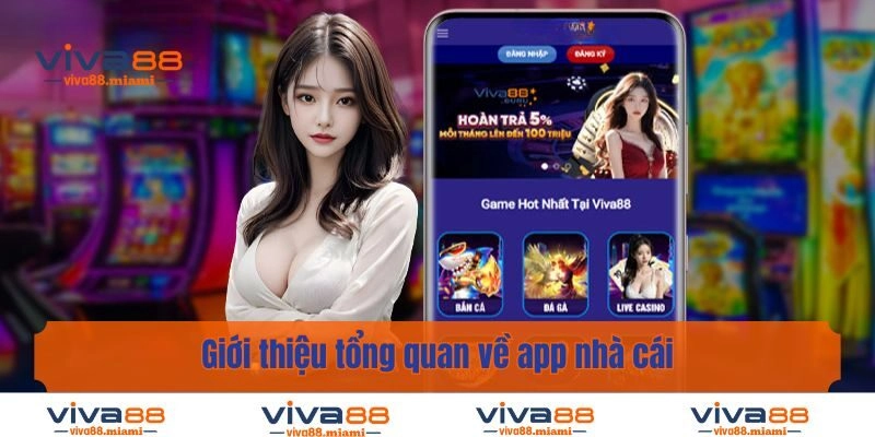 Giới thiệu tổng quan về app nhà cái
