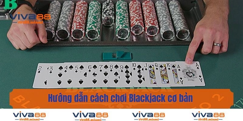 Hướng dẫn cách chơi Blackjack cơ bản cho người mới