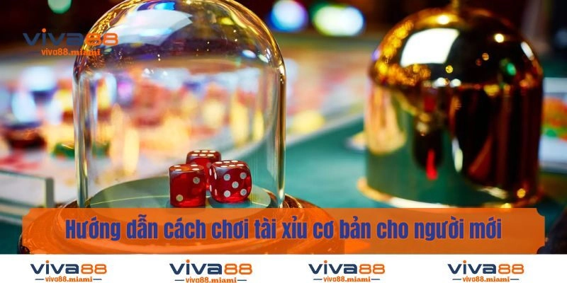 Hướng dẫn cách chơi tài xỉu cơ bản cho người mới