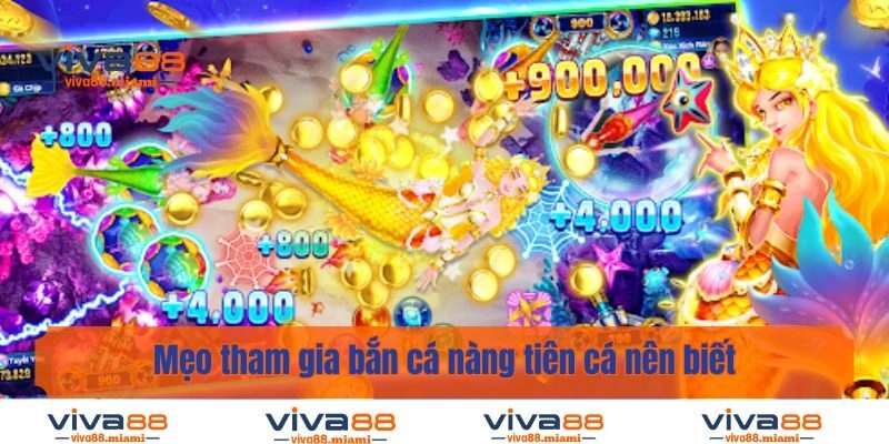 Mẹo tham gia bắn cá nàng tiên cá nên biết