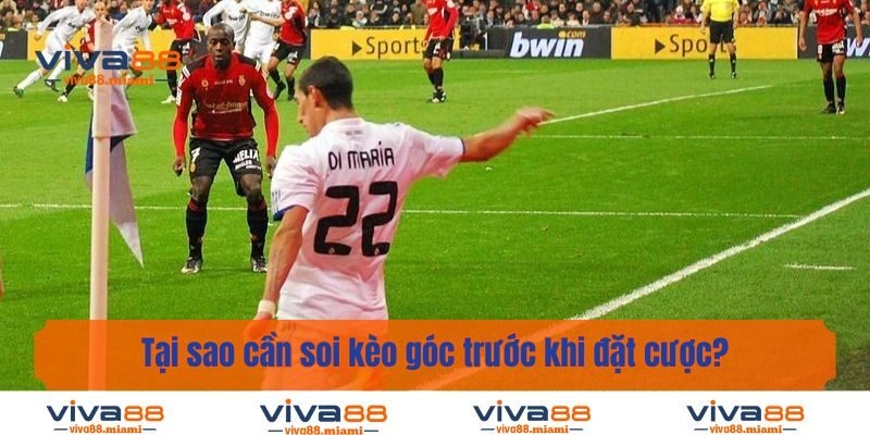 Tại sao cần soi kèo góc trước khi đặt cược?