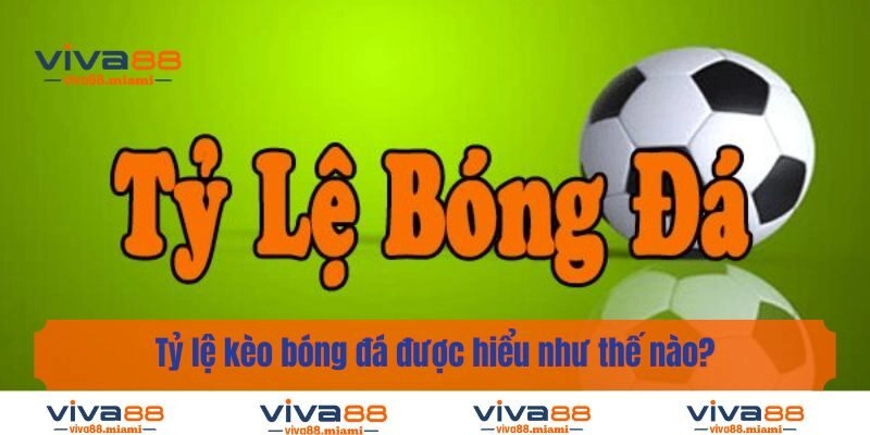 Tỷ lệ kèo bóng đá được hiểu như thế nào?