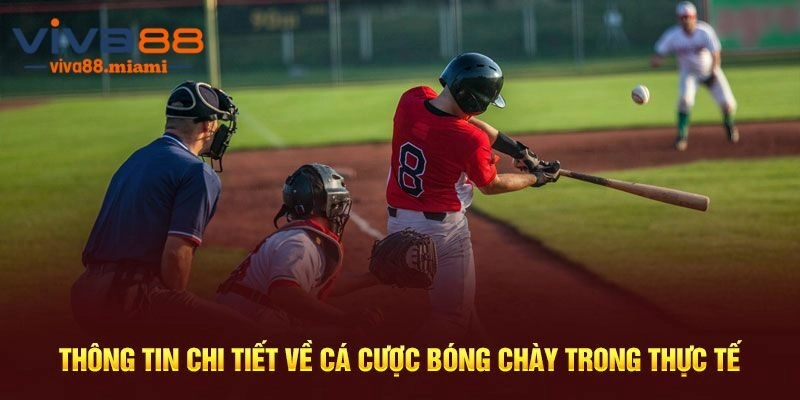 Giới thiệu sơ lược về caá cược bóng chày