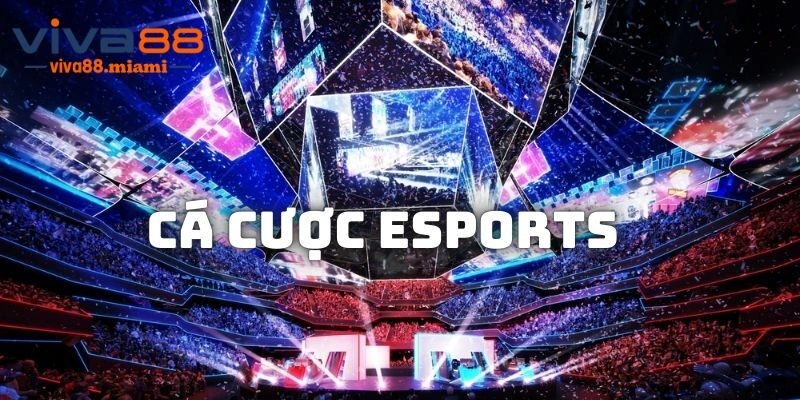 Tại sao nên lựa chọn Viva88 để cá cược eSports?